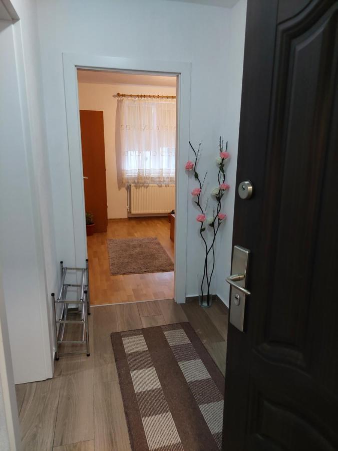 Apartament Ambrus Sighisoara Bagian luar foto