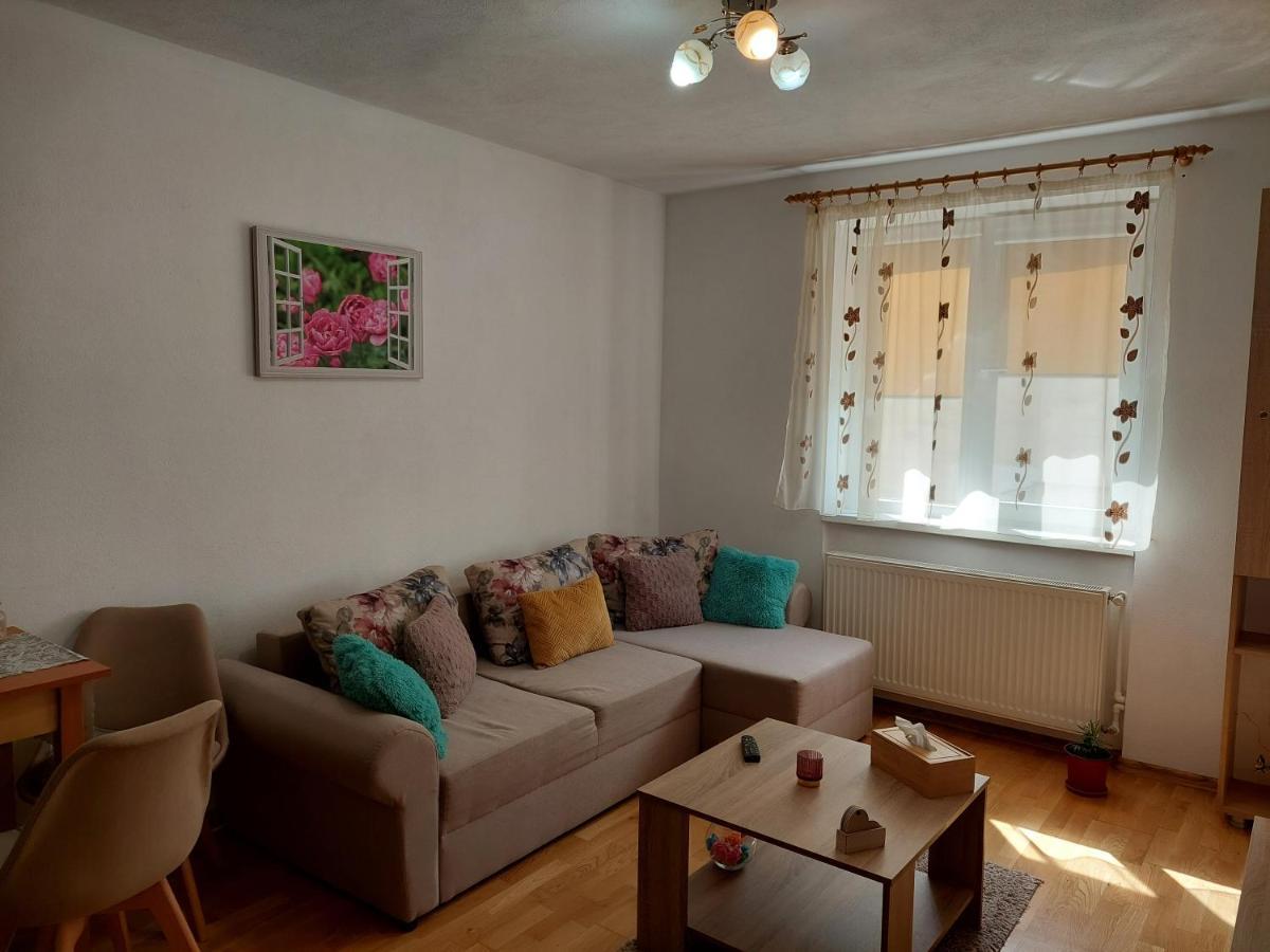 Apartament Ambrus Sighisoara Bagian luar foto